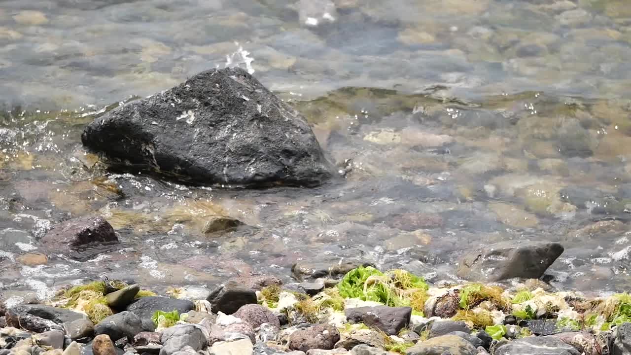 바위 바가에 파도가 부히고