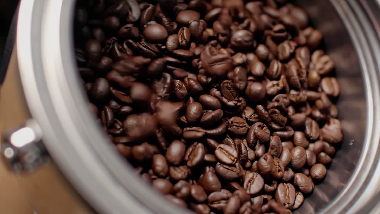 Short title describing the clip