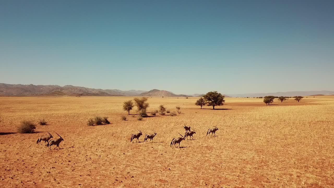 namibia desierto de kalahari en áfrica
