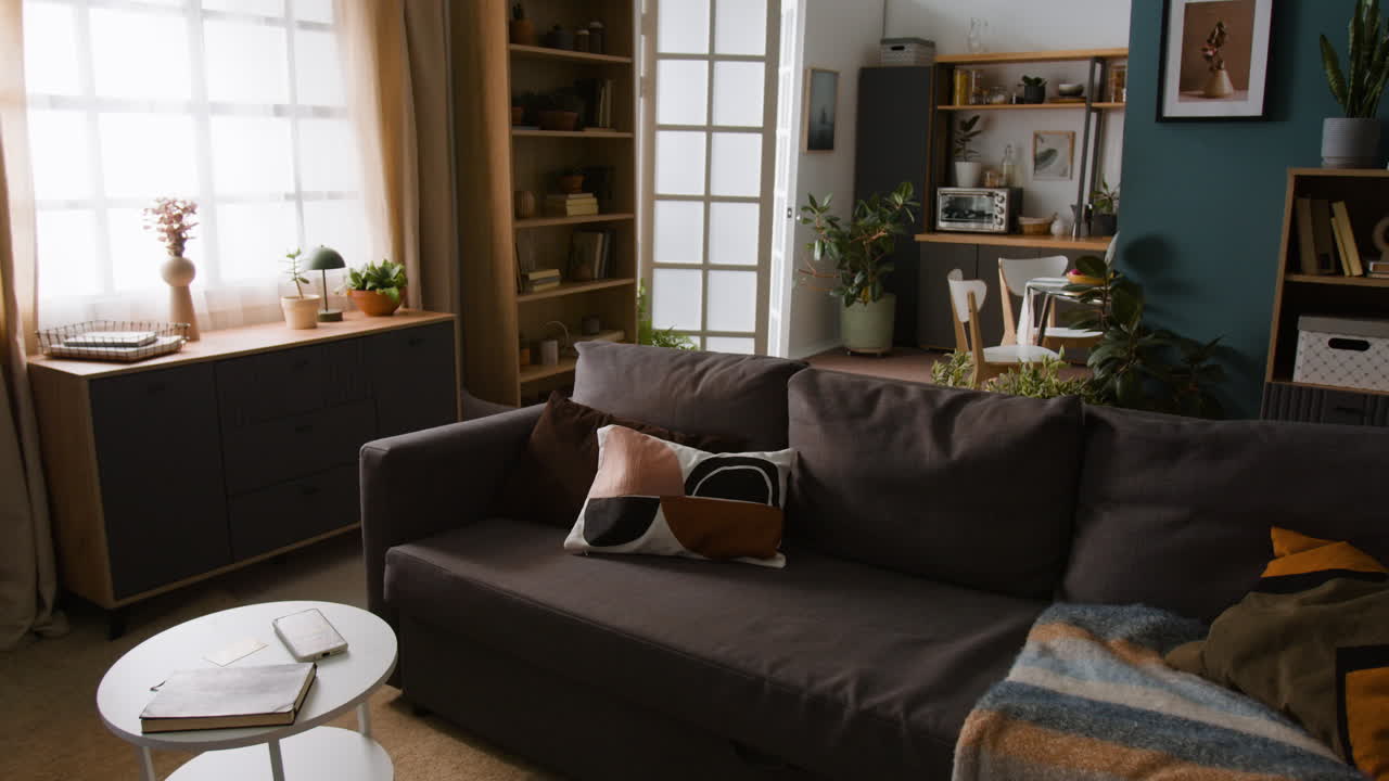 Cozy Living Room Interior with Couch and Bookshelf