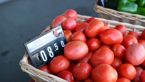 los tomates cultivados localmente se ofrecen a la venta en el festival de agricultura en los emiratos árabes unidos