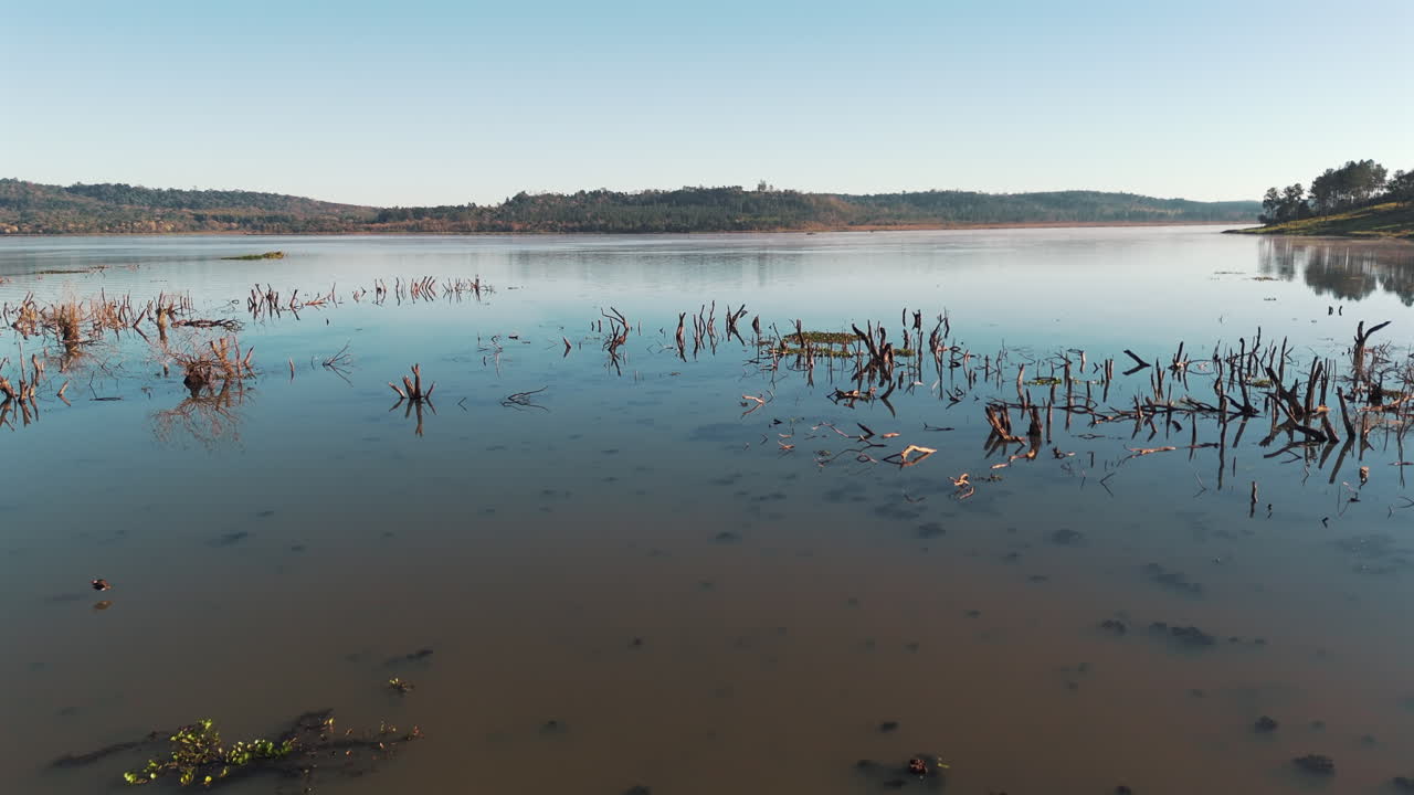 위협받는 생물 다양성의 습지의 드론 시각