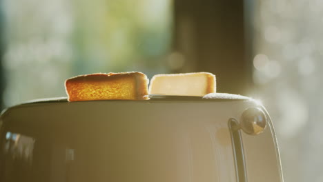 two pieces of toasted bread jumping out of the toaster