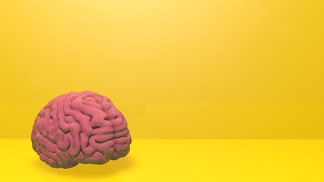 3d brain model on a yellow stage