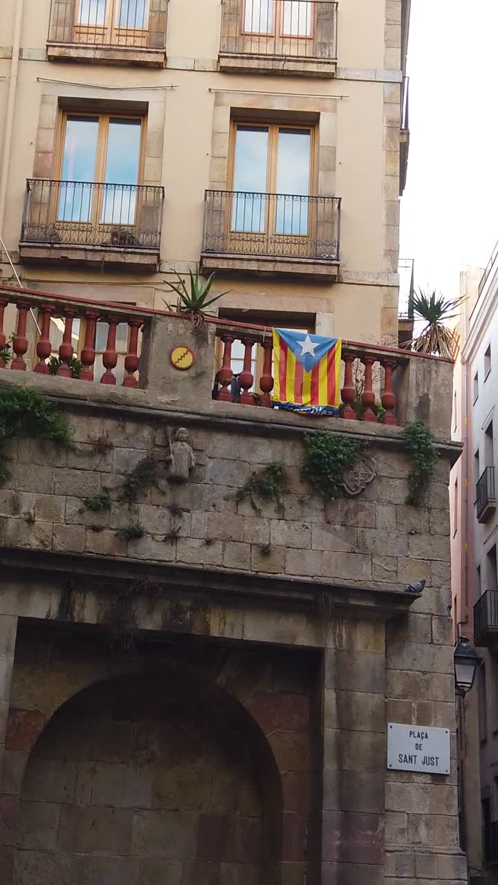 Vertical panning view inside Gothic neighborhood, Barcelona, Catalunya flag, traditional buildings and skyline
