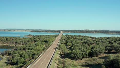 vista aérea de un terraplén de acceso al puente cubierto por la naturaleza