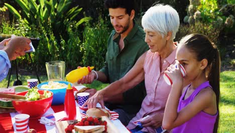 Familia-Comiendo-En-El-Parque-4k