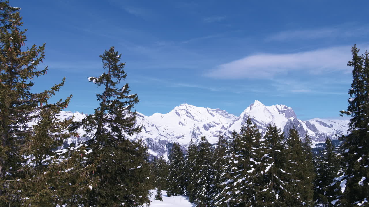 Fly over trees and you have a beautiful view to the mountains. The sky is blue and the landscape snowy