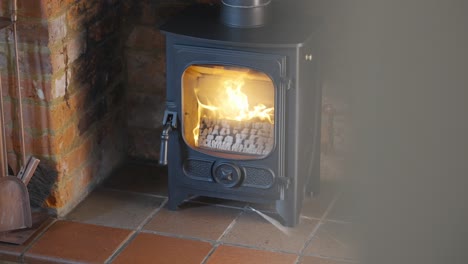 fire burning in wood burning stove