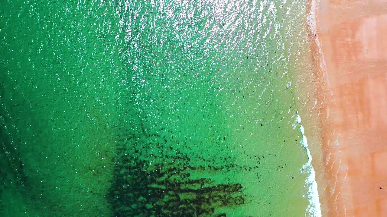 Bird’s-eye aerial drone view looking straight down on busy Saco, Maine beaches. Crowds relax on sunlit sand near vacation homes as Atlantic waves roll along this scenic New England coastline in summer