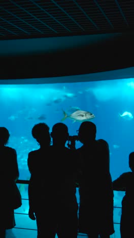 silhouetted visitors watching fish in a large aquarium
