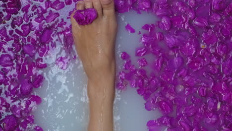 relaxing feet in a milk bath with flowers
