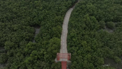 Vista-Aérea-A-Lo-Largo-Del-Camino-A-Través-De-La-Plantación-De-Manglares-En-Karachi