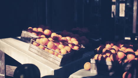 a still life of oranges in wooden crates
