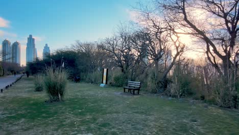 the costanera sur ecological reserve walking along pathway with puerto madero skyline in the background with a beautiful sunset behind trees, argentina