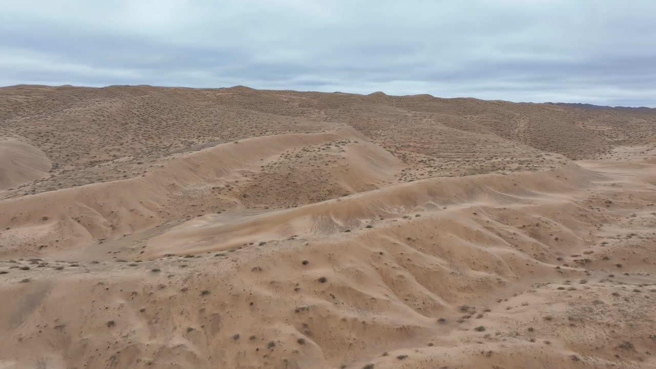 Aerial Barren Desert Dunes Overcast Sky Showing Rolling Sand Ridges, Sparse Scrub, Windcarved Textures, Muted