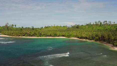 selva, mar panorama mentawai indonesia