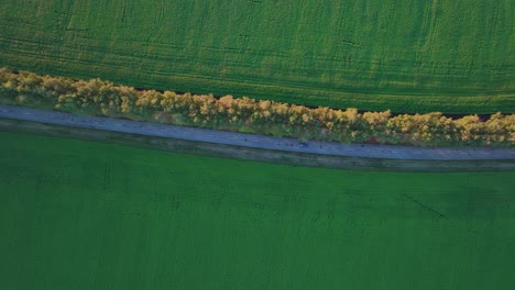 vista aérea de una carretera sinuosa a través de campos verdes