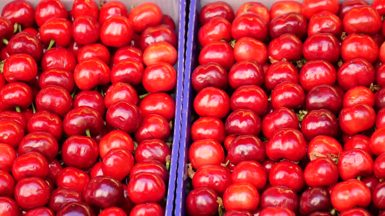 Abundance of Fresh Red Cherries