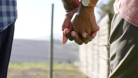 cogidos de las manos de una pareja afroamericana de alto nivel caminando en la naturaleza soleada, cámara lenta