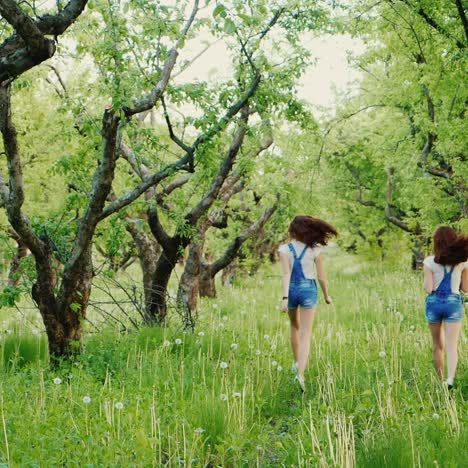 Two-Carefree-Girls-Are-Running-Around-In-The-Field-Of-Dandelions-1