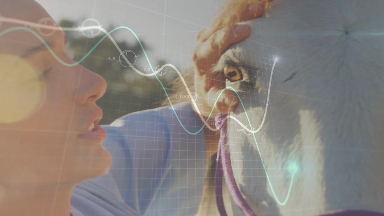 Equine handler leaning into white horse, calming eye, holding purple halter as grid aligning to eye