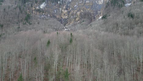 Klöntalersee-Suiza-Vuelo-Sobre-El-Bosque-Muerto