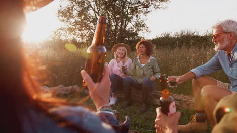 group of mature friends making toast as they sit around fire and sing songs at outdoor campsite