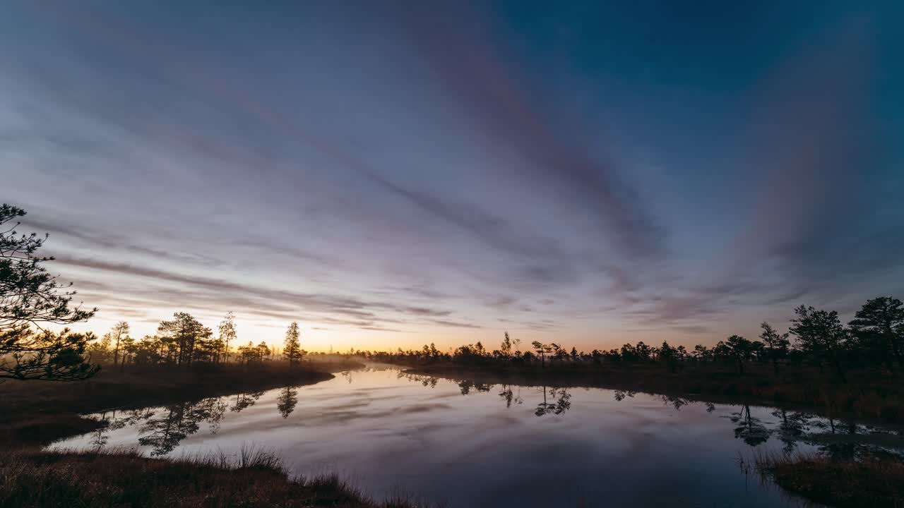 Dusk till Dawn Timelapse with fog in Swamp