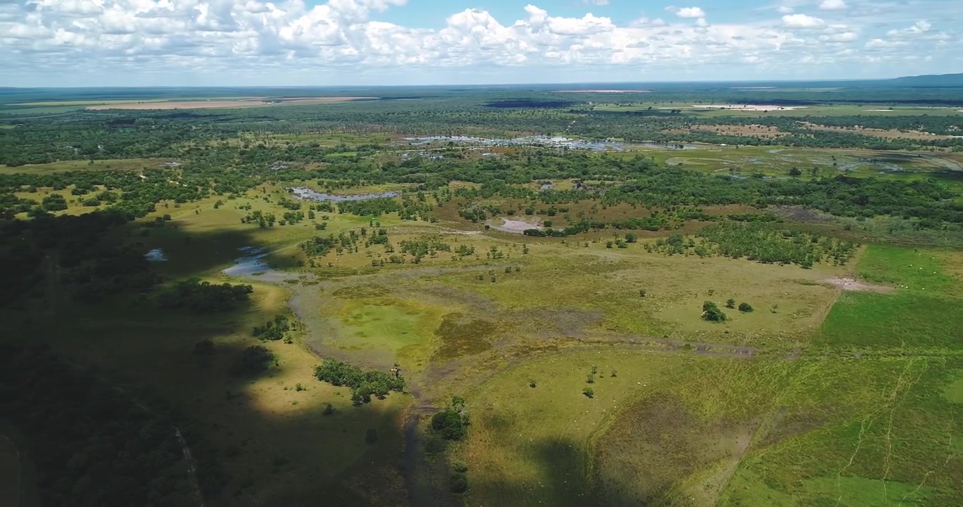 Pianura alluvionale aperta del Cerrado con zone umide stagionali, pascolo e vegetazione di savana nativa vicino ad Arinos, Minas Gerais, Brasile, nel bacino del fiume Urucuia. Ripresa con drone in avanti, imbardata a sinistra per rivelare.