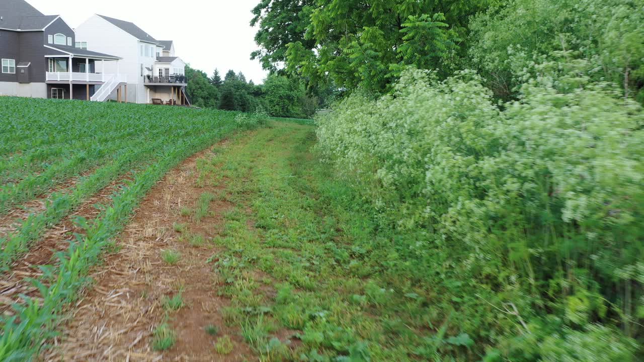 디스크 골프 코스의 어려운 13번 홀