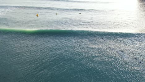 Aerial-view-of-early-morning-swimmers-at-Scarborough-Bay,-Sumner