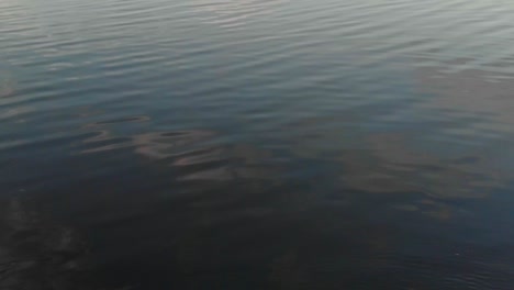 volantes ondulados de jugla lake riga antena pan