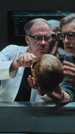 scientists examining an ancient skull