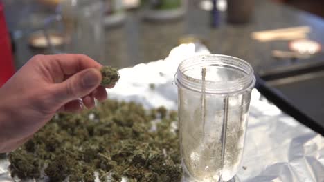 Male-hand-picking-up-and-inspecting-marijuana-flower-bud-being-used-for-cooking