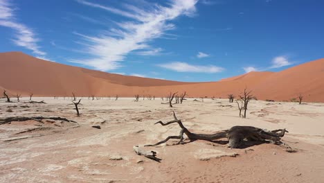 aerial view tracking shot of the deadvlei in namibia