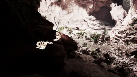 vista desde el interior de una cueva oscura con plantas verdes y luz en la salida