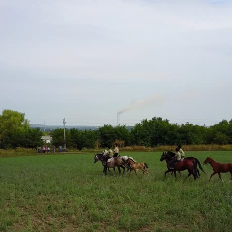 people ride on horseback. people riding on horse on the meadow in countryside