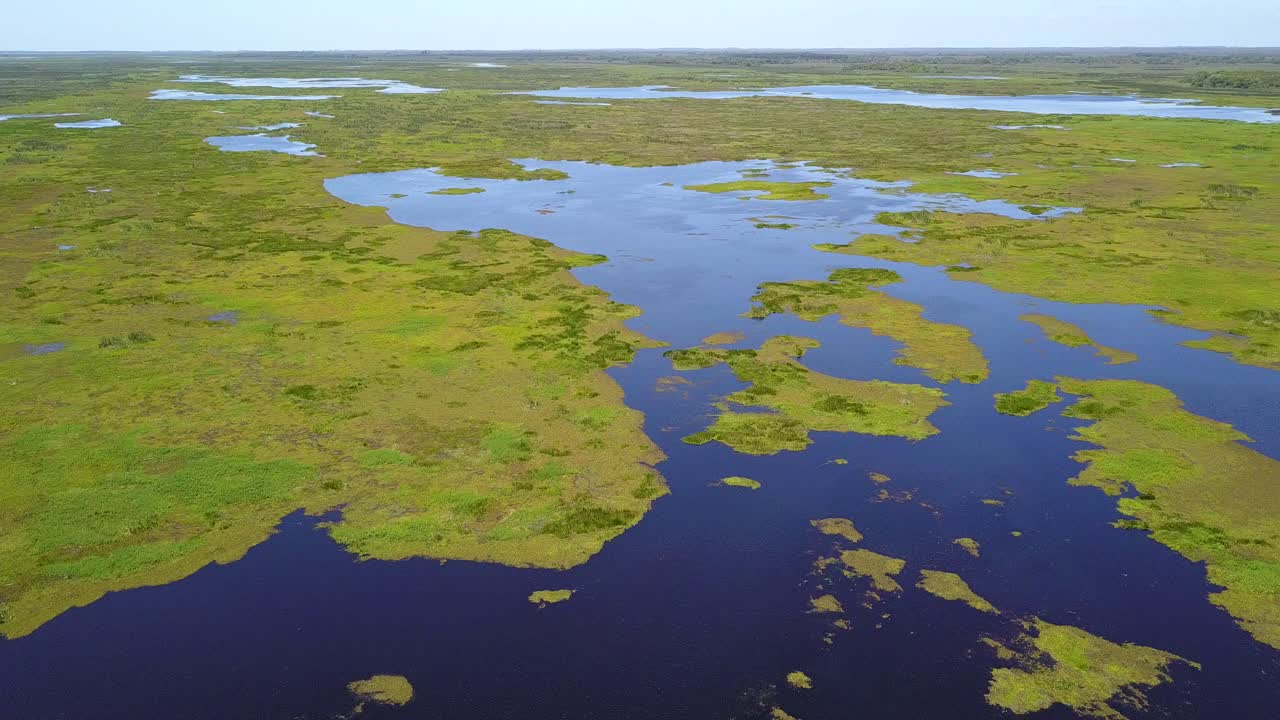 Zone umide del nord-est dell'Argentina riprese con drone