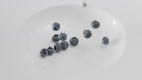 close-up slow motion of fresh organic blueberries falling into a clean white bowl, food and health concept