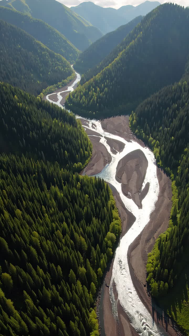 Aerial View of a Winding River Through a Forested Mountain Valley