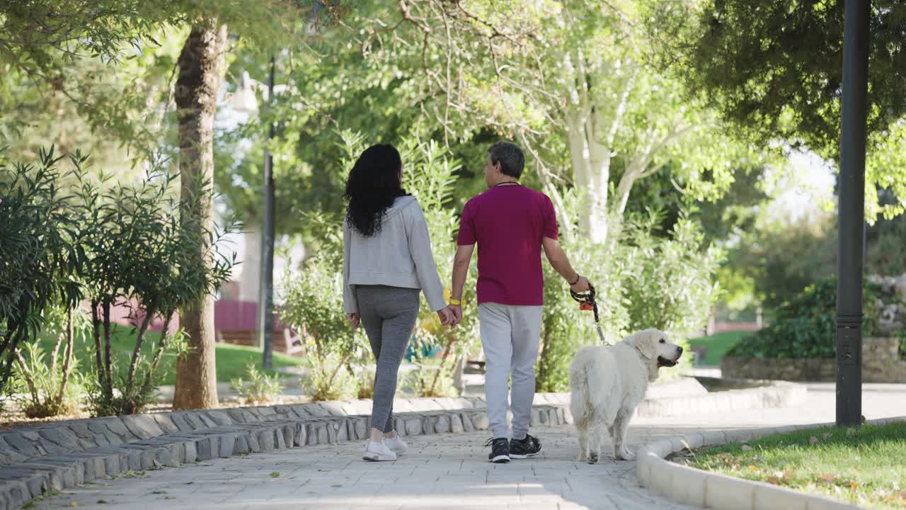 Koppel wandelt hand in hand met hun hond in een zonnig park