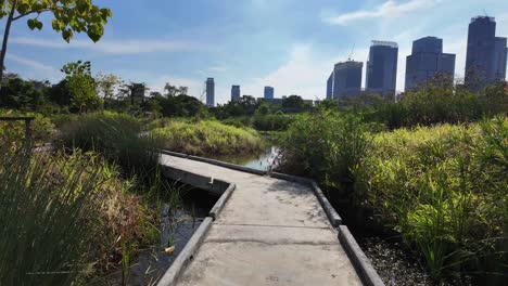 benjakitti bangkok thailand recreational public park nature southeast asia