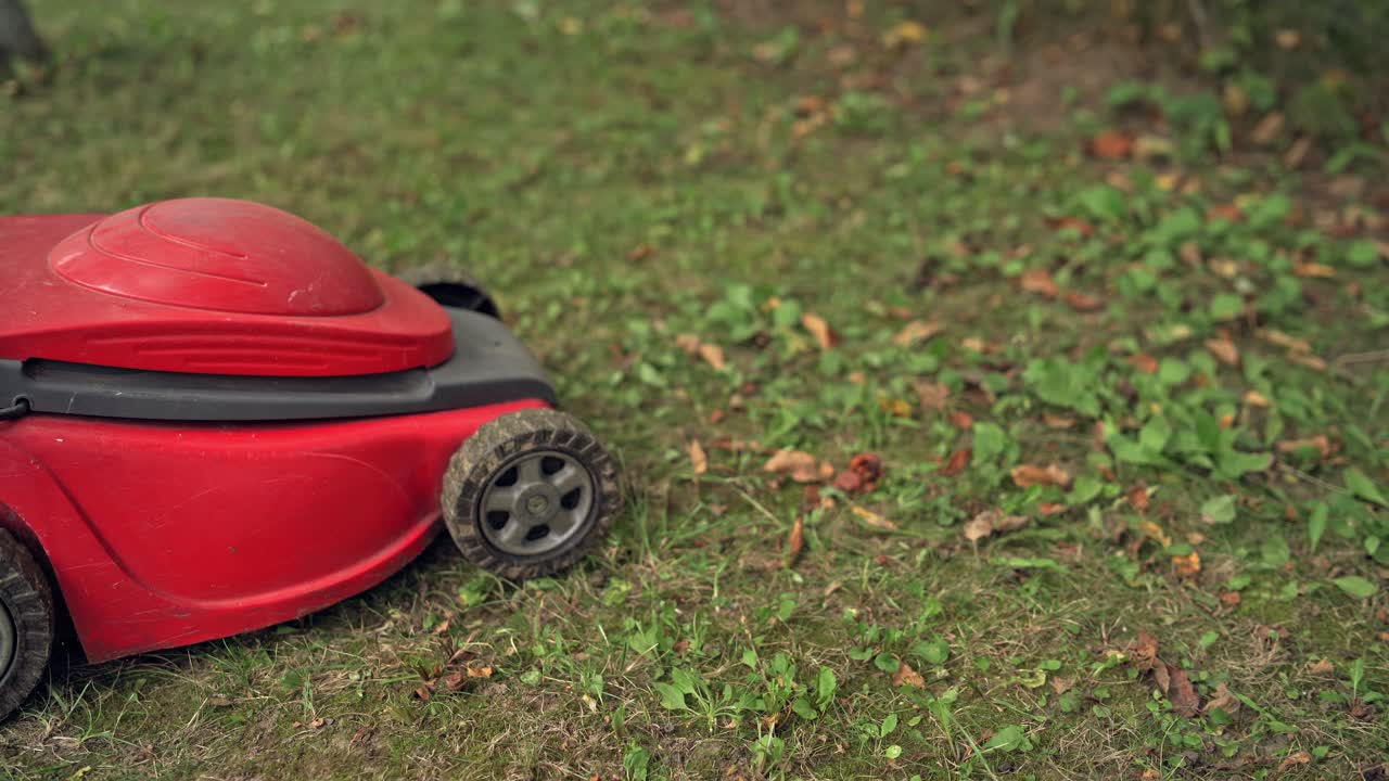 Working process of lawn mower outdoors. Woman cutting garden lawn with electric grass mower. Gardening background.