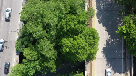 an aerial view directly over a parkway median with green grass and trees