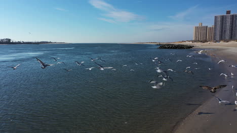 A-drone-view-of-a-quiet-beach-on-a-sunny-day