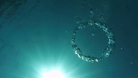 underwater footage of torus shaped air bubble rings in bright blue tropical sea with sunshine penetrating crystal clear water