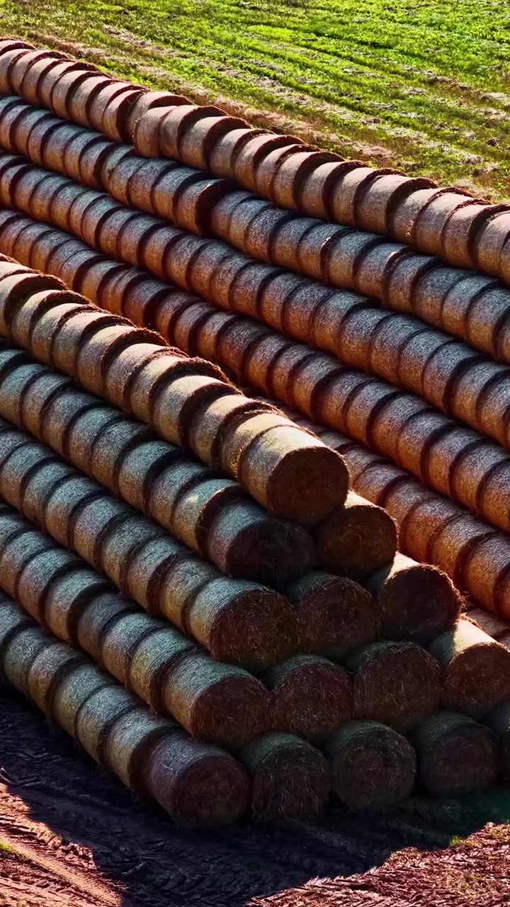 Stacked steel reinforcement bars at a construction site beside open farmland