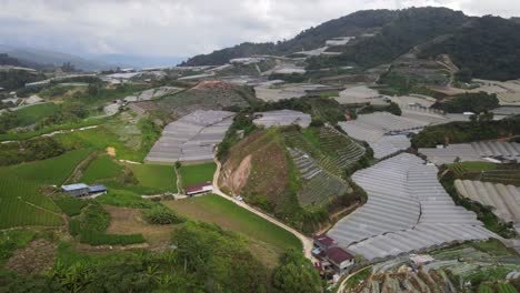 vista general del paisaje del distrito de brinchang dentro del área de cameron highlands de malasia