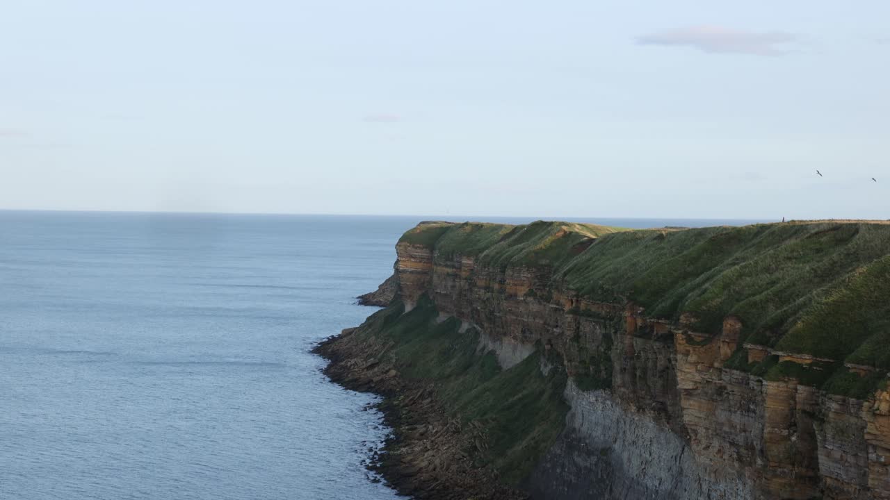 estableciendo una toma de un acantilado costero que alberga aves silvestres para la cría